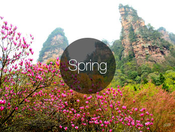 China Spring