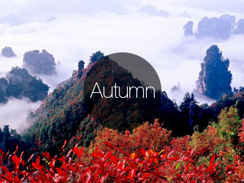 China Autumn 