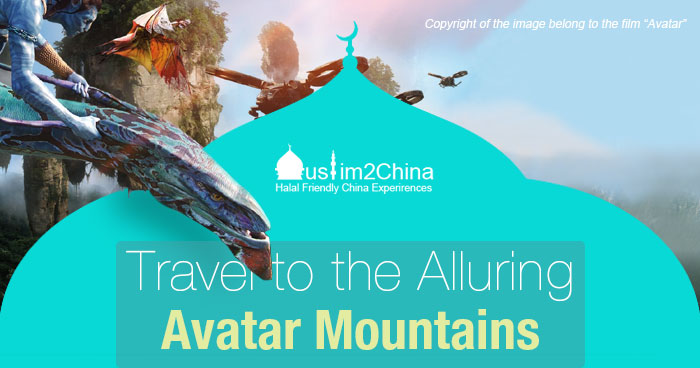 Travel to the Alluring Hallelujah Mountains