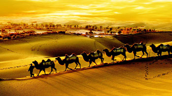 Dunhuang Urumqi and Xian 14 Days Silk Road Tour