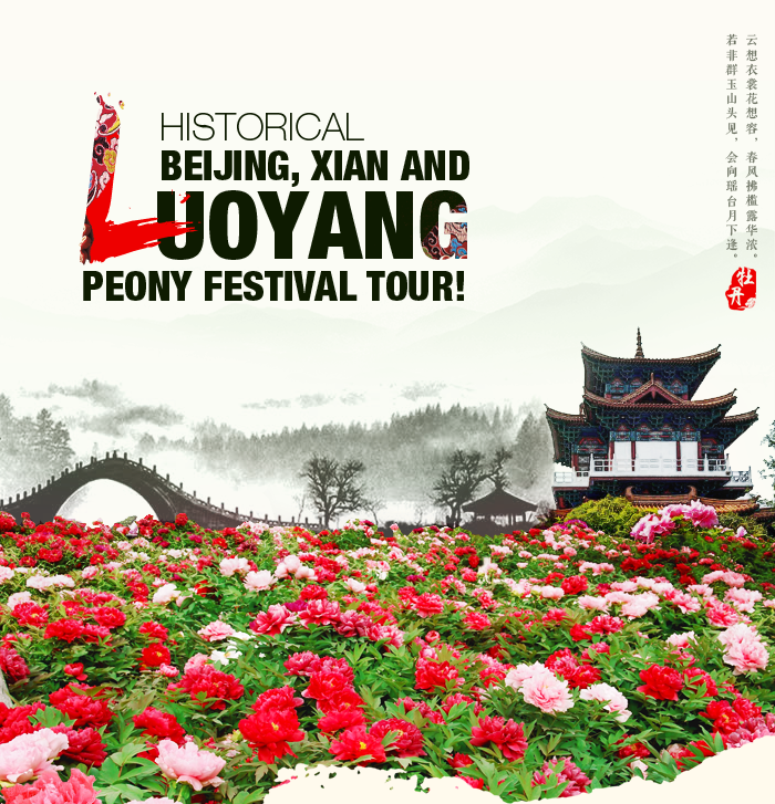 Historical Beijing, Xian and Luoyang Peony Festival Tour!