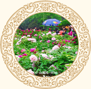 Luoyang Peony Culture Festival