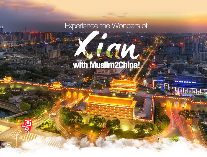 Experience the Wonders of Xian with Muslim2China