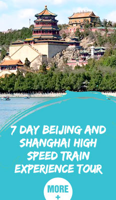 7 Day Beijing and Shanghai High Speed Train Experience Tour