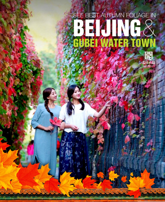 See Best Autumn Foliage in Beijing and Gubei Water Town