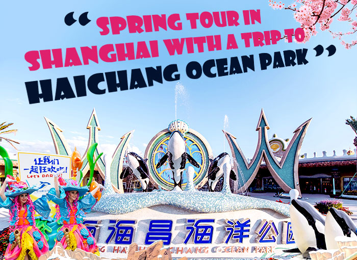 Spring Tour in Shanghai with a Trip to Haichang Ocean Park